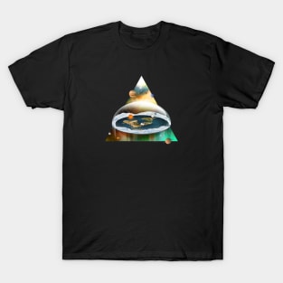 Flat Earth Society T-Shirt